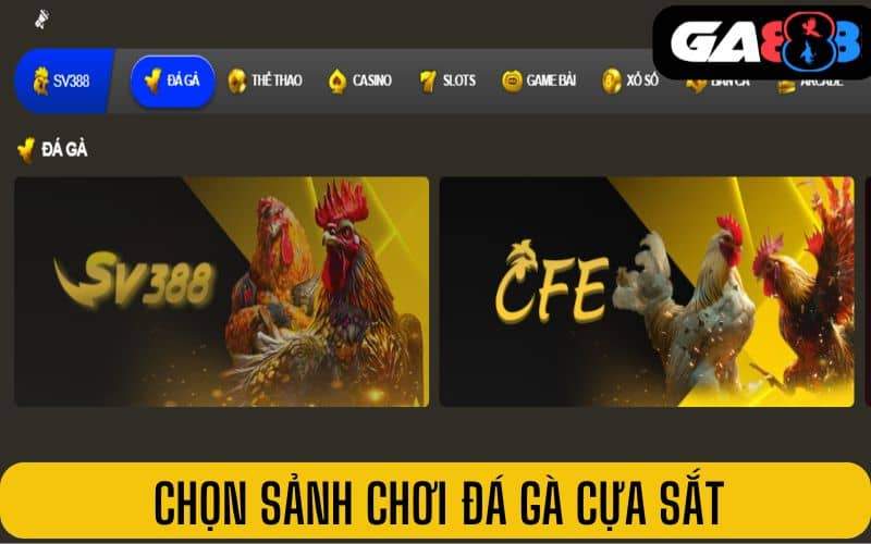 Chọn sảnh chơi đá gà cựa sắt tại GA888 Chọn sảnh chơi đá gà cựa sắt tại GA888