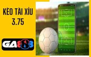 Kèo Tài Xỉu 3.75